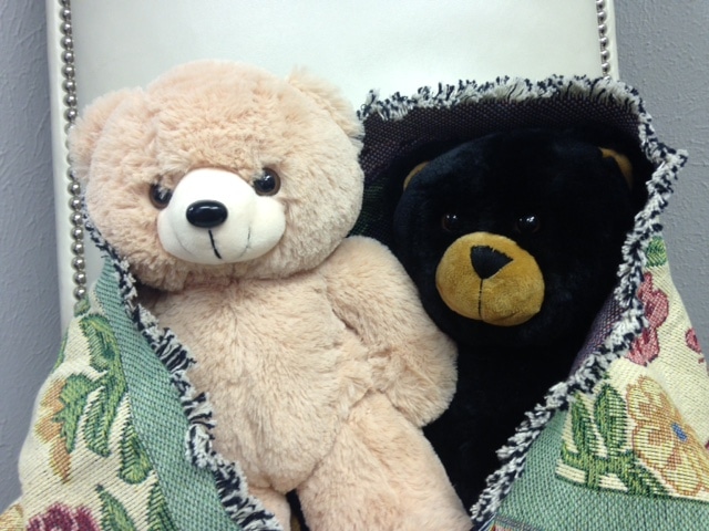 Bears, Blankets & Books - Oh My!, 2 teddy bears wrapped in a blanket