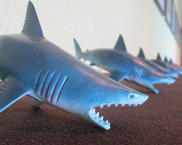 Shark Tank, Row of sharks